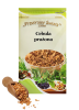 Cebula prażona